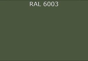 Краска DX-mix базовая RAL 6003-GL / OLIVEGRUEN