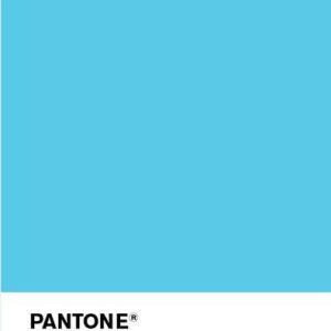 Краска ImronFleet PUR PANTONE 305C BLUE / G0602
